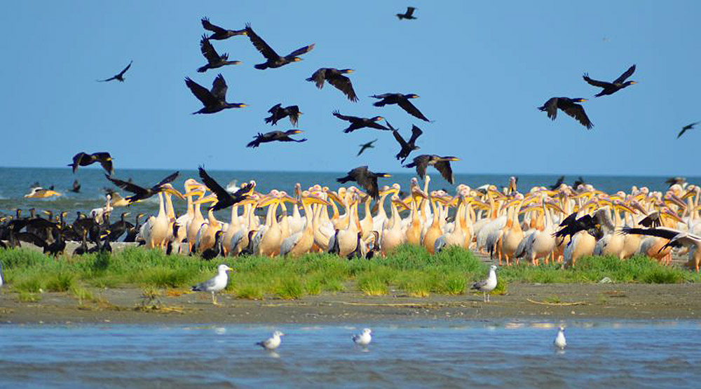 Херсонська область